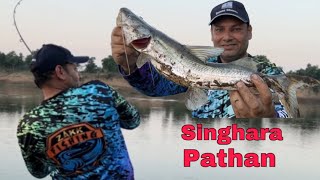 Singhada/Singhar/Keral Pathan/Lachi/Padin Fishing! Fishing With Spoon!