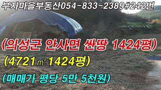 매물#242번   경북 의성군 안사면 싼땅 1424평 매매가 평당 5만 5천원 #경북부동산 #의성부동산 #의성싼땅매매 #의성촌집매매#의성싼임야매매#영천#귀농귀촌