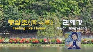 동심초(同心草)-권혜경(Feeling like Flower-Gwon Hyegyeong)(1959)가사lyrics 【가곡】