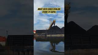 Muat batu bara di kapal #kapal #crane #kapallaut #batubara #shortvideo #shorts #music #kapaltongkang