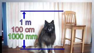 Metric Length | Math is Fun