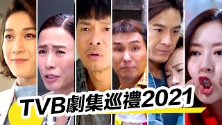 TVB節目巡禮2021 | 精彩劇集 | 你最想睇邊一套?