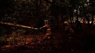 Durch Waldbrand in Chile Zehntausende Hektar Land zerstört