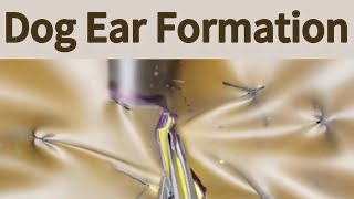 Dog Ear Formation