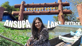 Ansupa Lake / Cuttack / Odisha Tourism / Birds / S Sonali