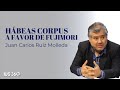 Hábeas Corpus a favor de Fujimori, ¿constitucional? | Juan Carlos Ruiz