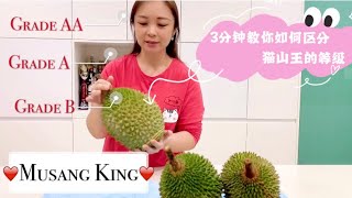 3分钟教你区分 马来西亚猫山王等级 Musang King Durian, Malaysia 榴莲