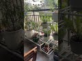 my balcony ചെറിയ ബാൽക്കണി എങ്ങനെ ഭംഗി ആക്കാം