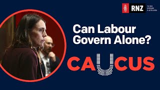 CAUCUS | Gulliver's Election... and is Labour angling to govern alone? | RNZ