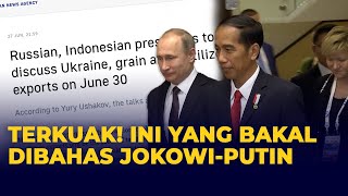 Terkuak! Ini yang Bakal Dibahas Jokowi saat Temui Putin