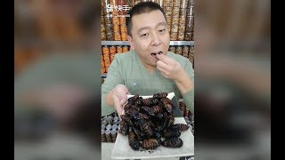 土味食堂120：吃播新食材，为了双击虫都吃的香!?