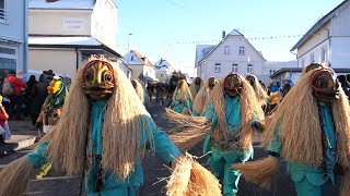 Fasnet, Umzug in Altshausen Teil2, VFON Ringtreffen