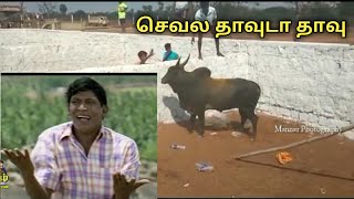 Jallikattu Troll || செவல தாவுடா தாவு || Tamilan kalaiselvan