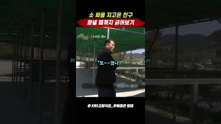 소싸움 지고 온 친구 겁나 긁어대자ㅋㅋㅋ