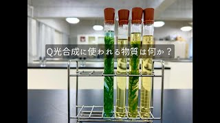 オオカナダモをつかった「光合成に使われる物質は何か」確かめる実験