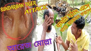 বাঘের সঙ্গে যুদ্ধ করে বেঁচে ফেরা|সুন্দরবনে বাঘের আক্রমন|sundarban tiger attack|tiger attack.