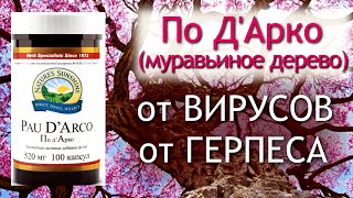 Pau D`Arco/По Д'Арко убережёт от ВИРУСОВ и ГЕРПЕСА