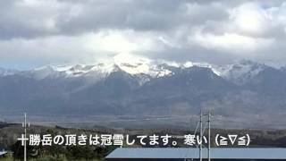 北海道の秋、美瑛他