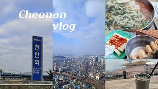 [VLOG] 뚜벅이의 나홀로 천안 당일치기 여행ㅣ타운홀전망대, 천안 중앙시장, 미나릿길벽화마을, 뚜쥬루과자점, 각원사, 단대호수, 천안 맛집, 천안 카페ㅣ여행 브이로그