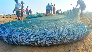 😱 Amazing !! s A fishing in world best, unbelievable fishing video wow 🎣🚜 #trending #fishing