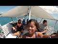 freediving with whalesharks family getaway donsol bicol