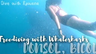 Freediving with Whalesharks |Family getaway| Donsol, Bicol