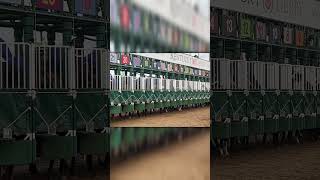 150th Kentucky Derby starting gate! #derby #horse #racing
