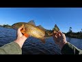 hooking a mystery fish in deep water plus a nice box of redfish and speckled trout