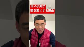 白い小麦が頭を悪くする理由とは？ #腸活 #shorts