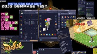 Eau/Chance Ecaflip Is BROKEN -8000+ | META 12/6 Eau Crit PVM Set - DOFUS UNITY