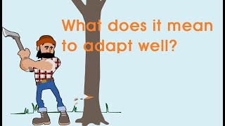 Short Story: What does it mean to adapt well?