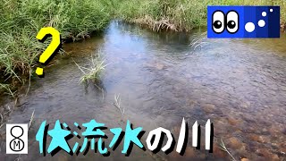 【水辺潜入】河川敷にある伏流水の川、どんな魚がいる…？