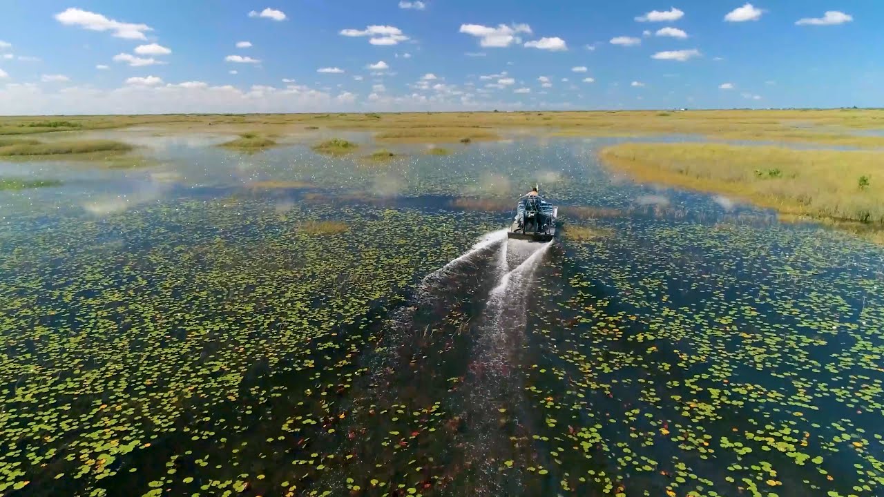 Florida Parks Explore Everglades National Park Youtube
