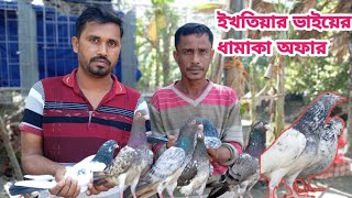 কমদামে দামে ভালো মানের কবুতর কিনুন ইখতিয়ার ভাইয়ের লপ্টে । Very Low 🔅 Price offers Pigeon market .