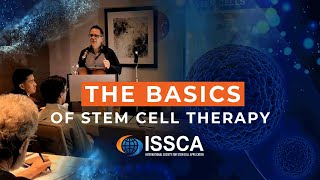 The Basics Of Stem Cell Therapy | Mesenchymal Stem Cells