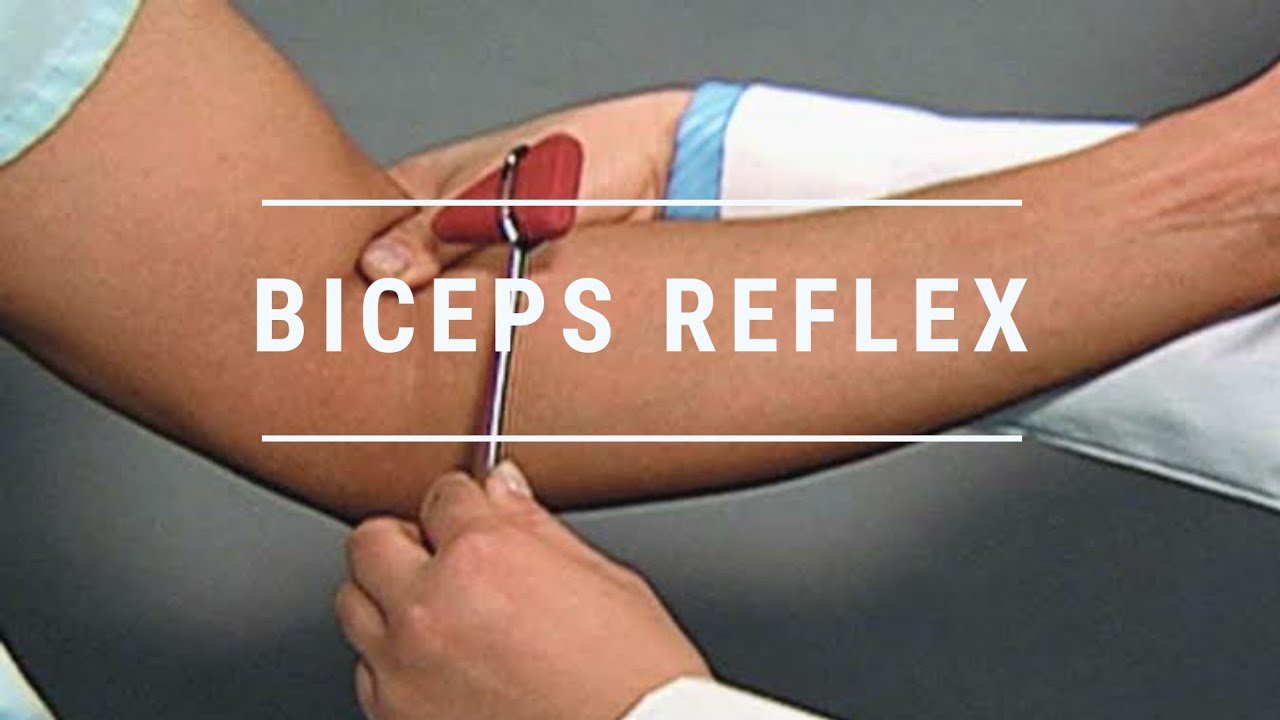 Biceps Deep Tendon Reflex Examination | Assessment-Reflex Exam- Normal ...