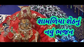 શામળિયા શેઠને ઘેર | gujarati devotional song | gujarati krishna bhajan latest | new gujarati kirtan