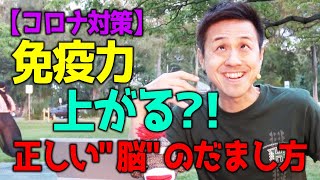 【コロナ対策】免疫力が上がる？！正しい\