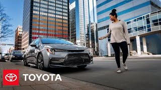 Protect Your Car and Stay Covered Down The Road | Toyota Financial Services