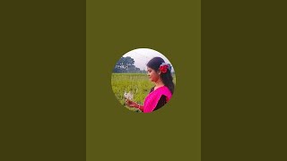 Sheela Halder is live হ্যালো বন্ধুরা চলে আসো গল্প করি ❣️❣️❣️❣️