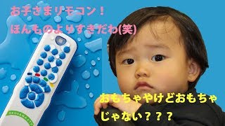 【ローヤル】1歳のてんちゃん、お子さまリモコンで遊んでみた！Play with a toy remote