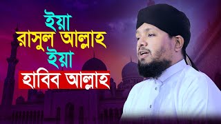 ইয়া রাসুল আল্লাহ ইয়া হাবিব আল্লাহ | Mawlana Tarek Abedin | Bangla new naat | 2022 New naat |