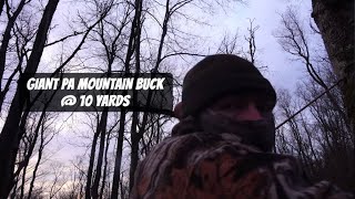 GIANT MOUNTAIN BUCK at 10 YARDS | PENNSYLVANIA