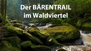 Der Bärentrail im Waldviertel