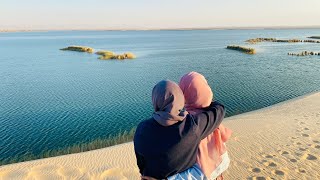 Yellow Lake ( Al Asfaar Lake) at Al Ahsa, Saudi Arabia