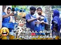 பாலுல வெள்ளம் கலப்பு வெகளங்கள் 🤣😁|subashkannan|mrkottu|vegalankal