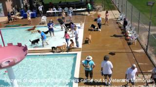 Pooch plunge