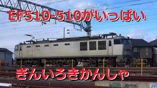 金沢を駆け抜けるEF510-510と貨物列車　A freight train that runs through Kanazawa　＜2022年1月29～31日＞