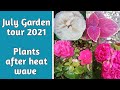 July Garden tour 2021 | plants after heat wave | Garden Ideas & DIY