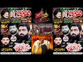 Live Majlis Ashra Muharram 3 Muharram 2024 Imam Bargah Gulshan E Fatima ( s a ) Rajoya Sadat Chiniot